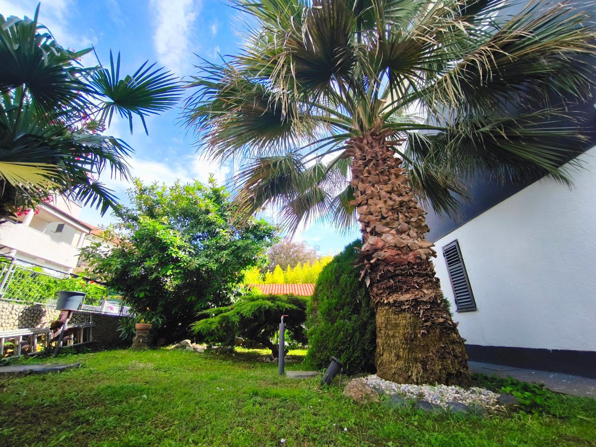 Apartmani Andrea Pula Luaran gambar